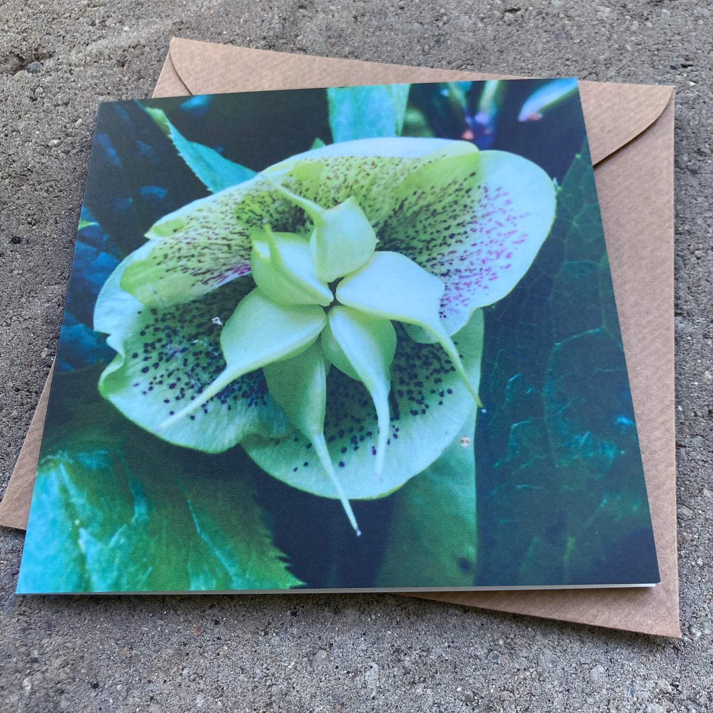 Greeting Cards Pack No. 2