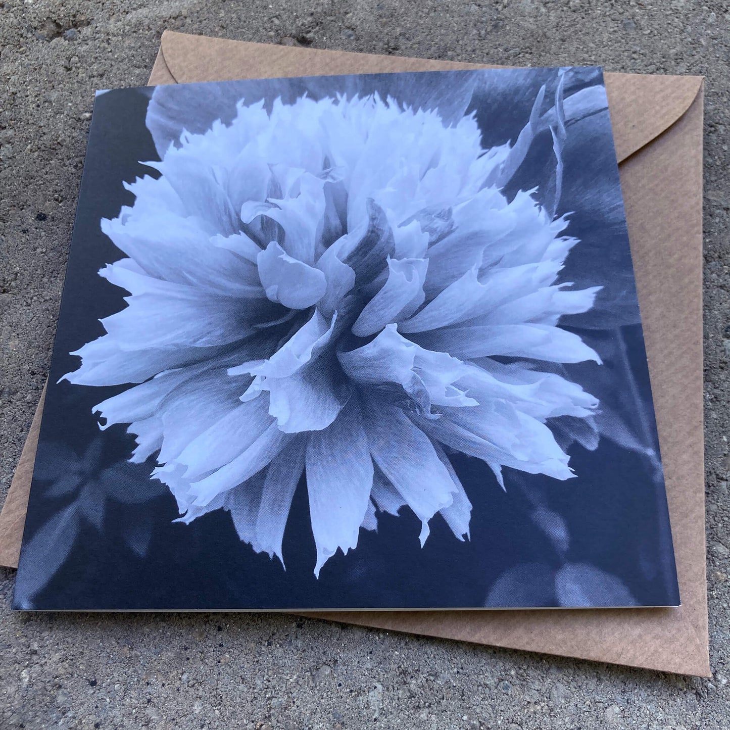 Greeting Cards Pack No. 18