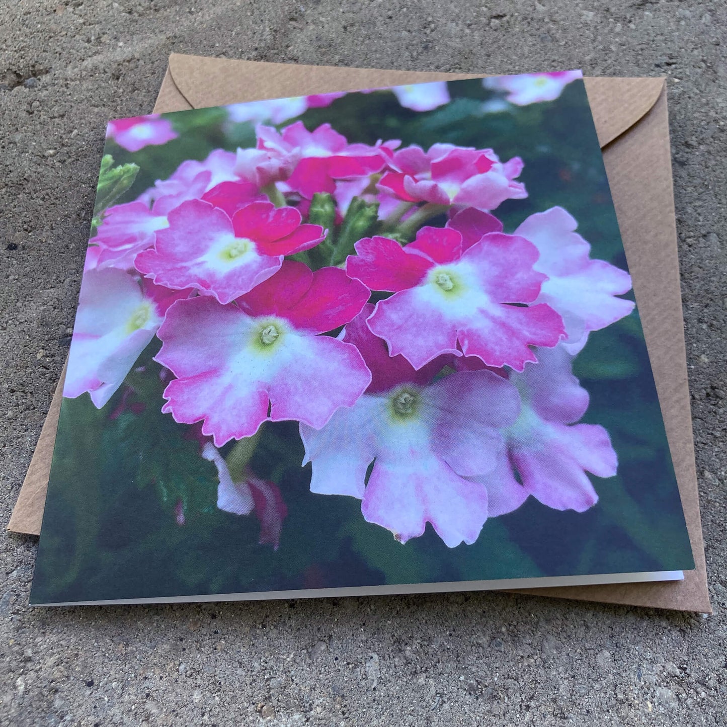 Greeting Cards Pack No. 7