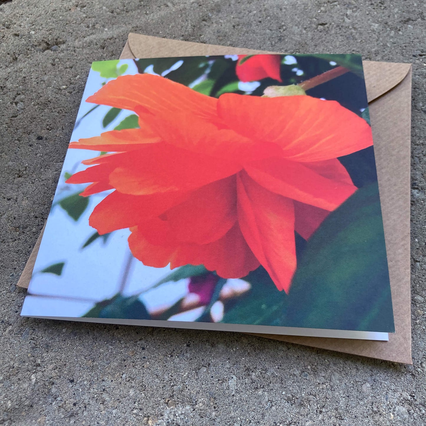 Greeting Cards Pack No. 7