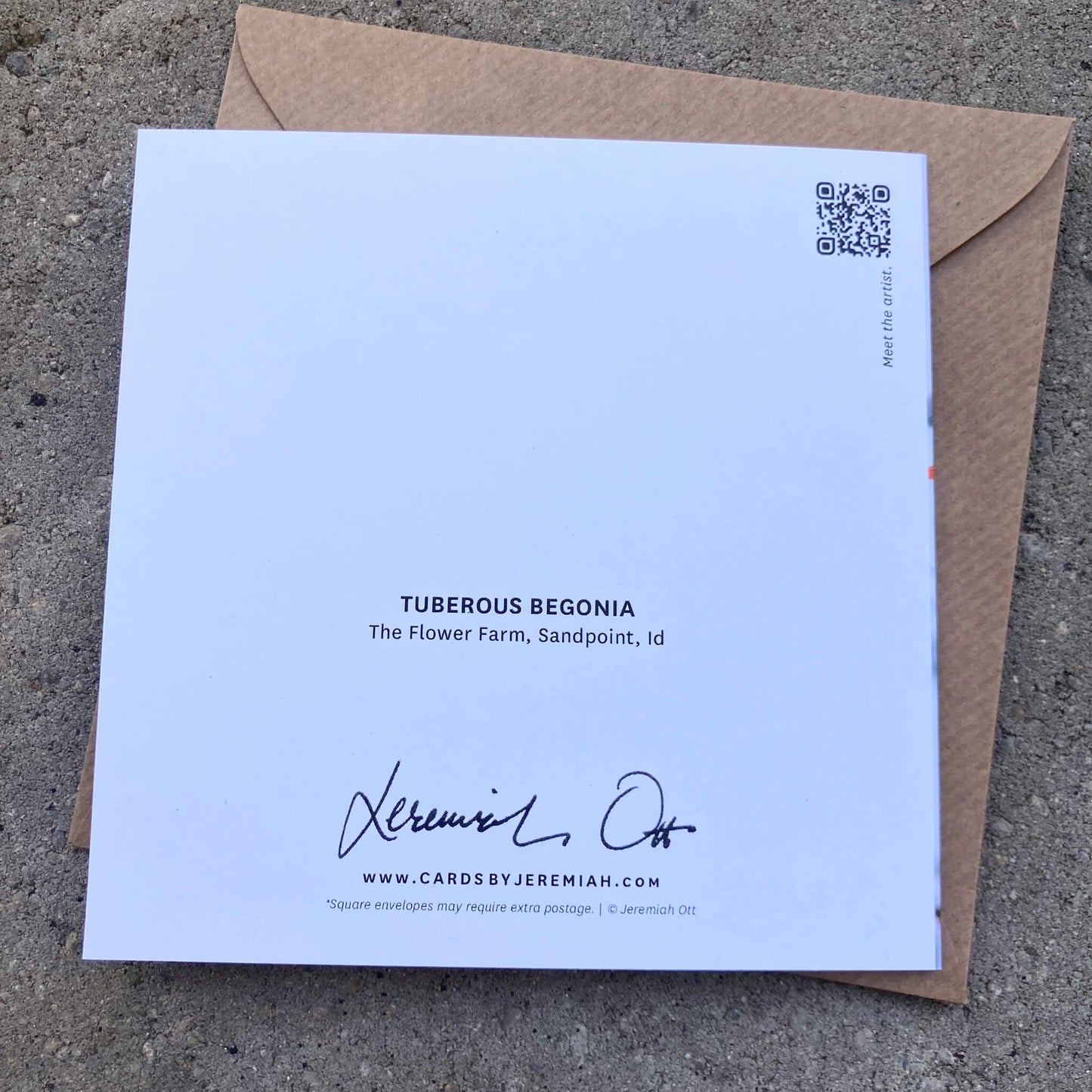 Greeting Cards Pack No. 7