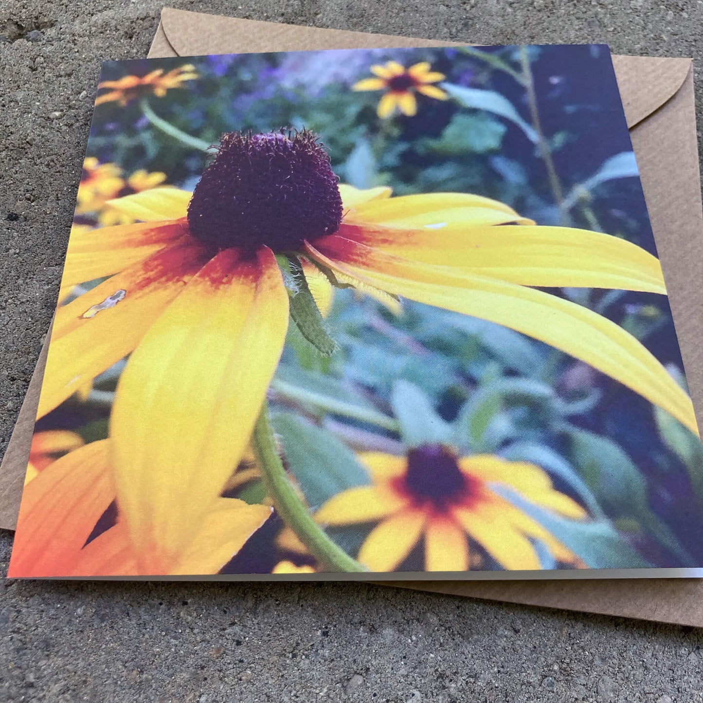 Greeting Cards Pack No. 8