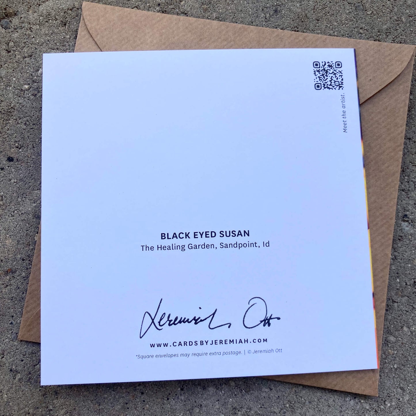 Greeting Cards Pack No. 8