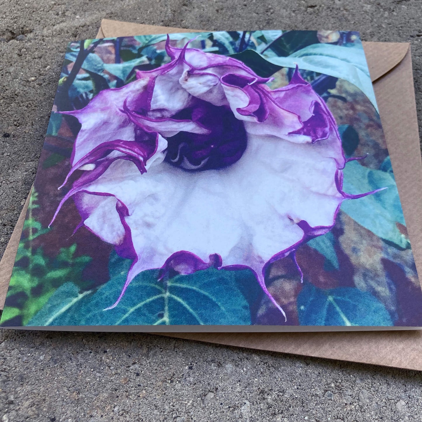 Greeting Cards Pack No. 4