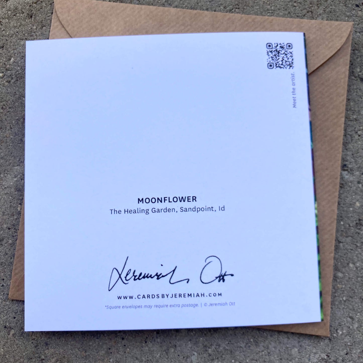 Greeting Cards Pack No. 4