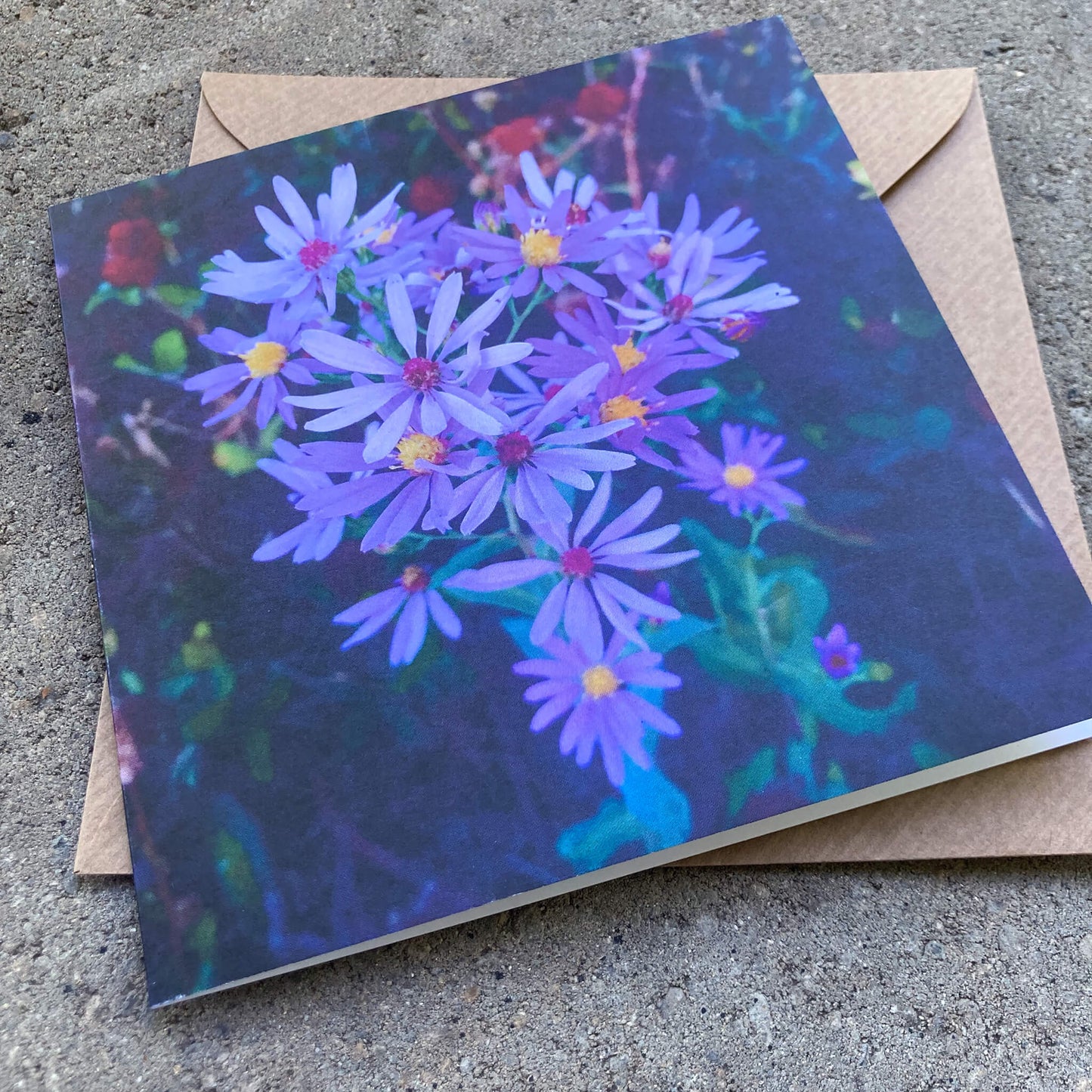 Greeting Cards Pack No. 8