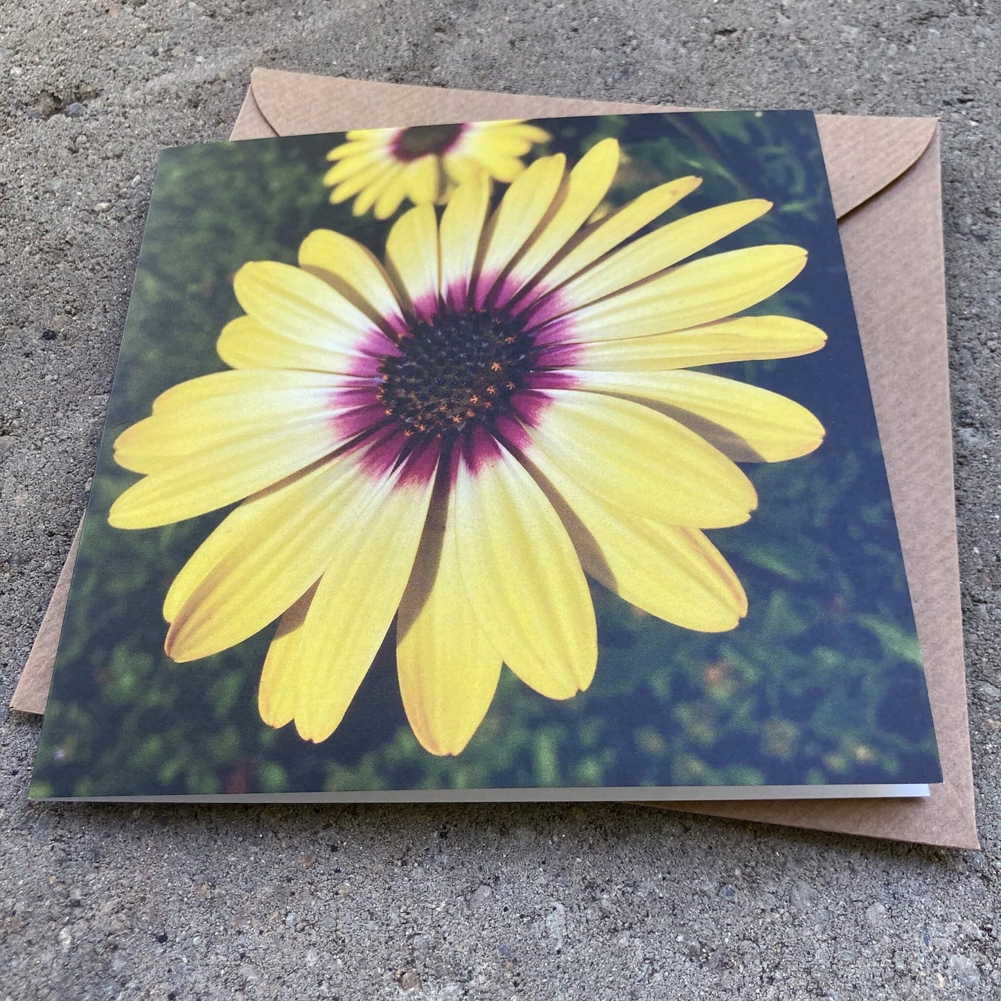 Greeting Cards Pack No. 11