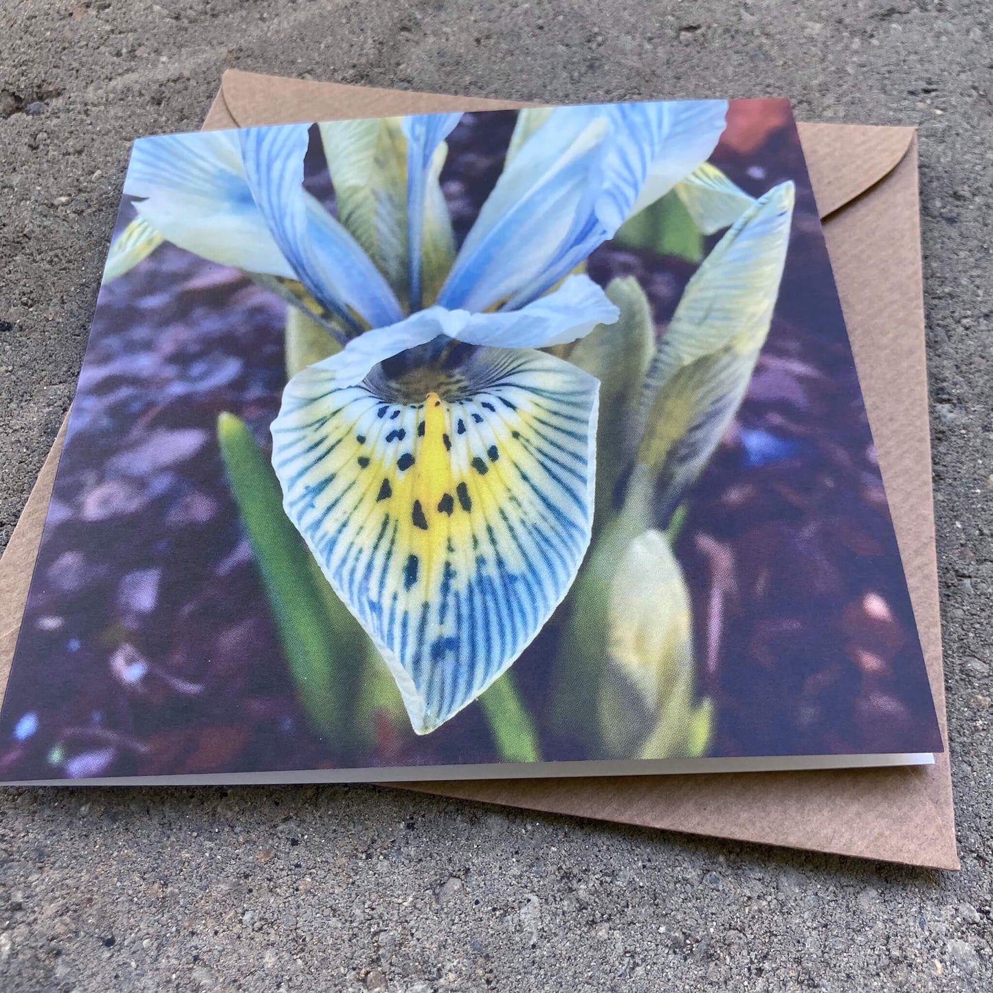 Greeting Cards Pack No. 4