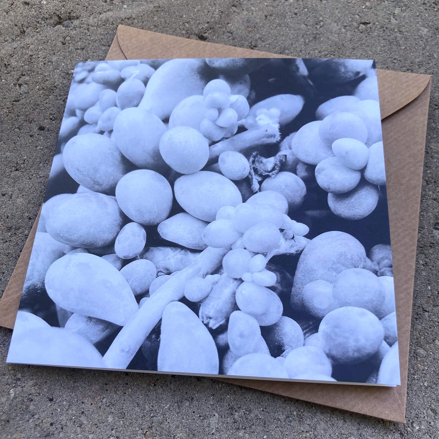 Greeting Cards Pack No. 18