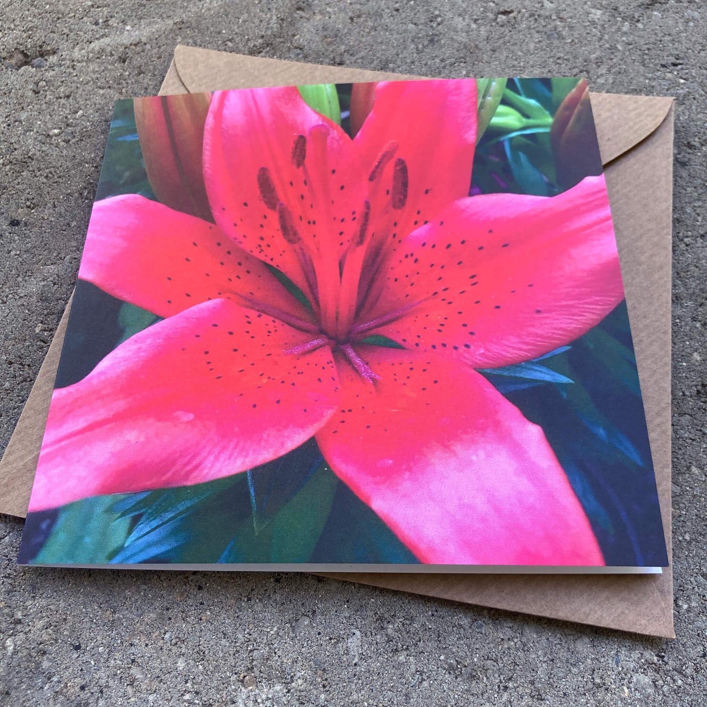 Greeting Cards Pack No. 8