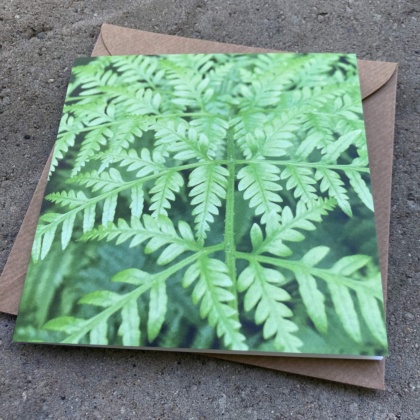 Greeting Cards Pack No. 8