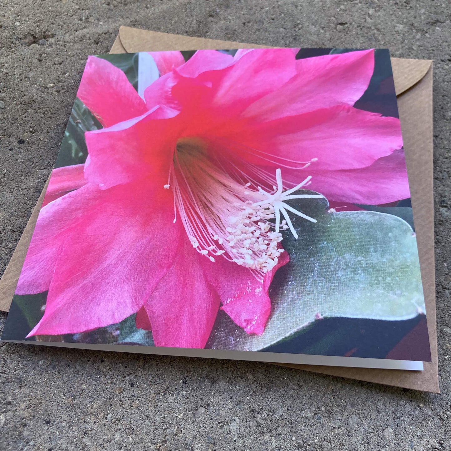 Greeting Cards Pack No. 4