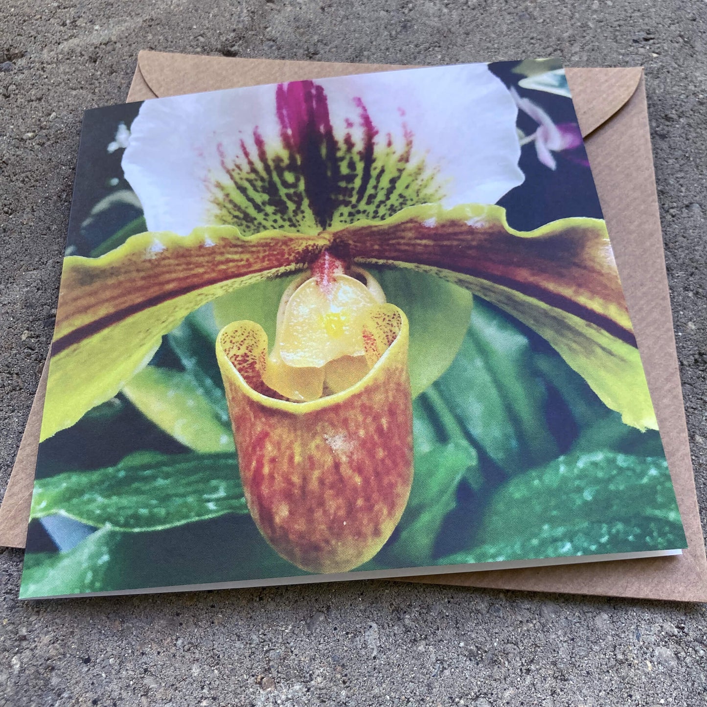 Greeting Cards Pack No. 7