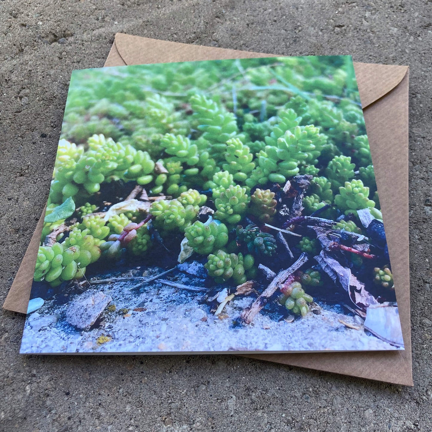 Greeting Cards Pack No. 11