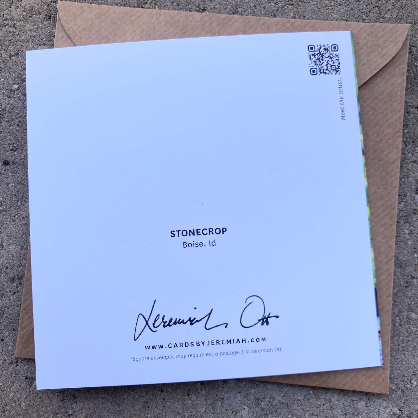 Greeting Cards Pack No. 11