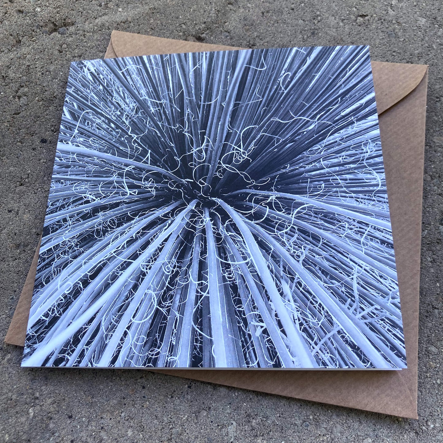 Greeting Cards Pack No. 18