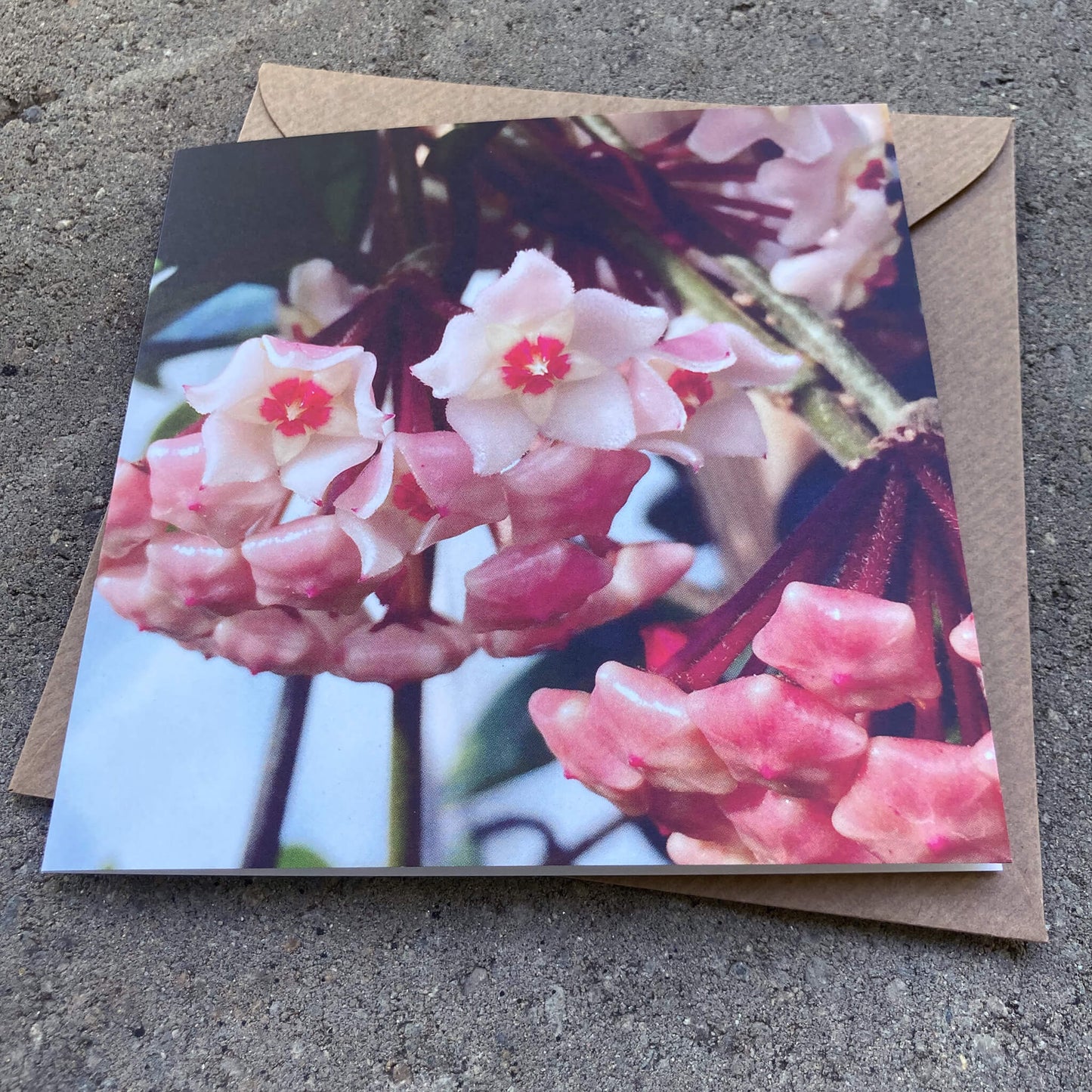 Greeting Cards Pack No. 11