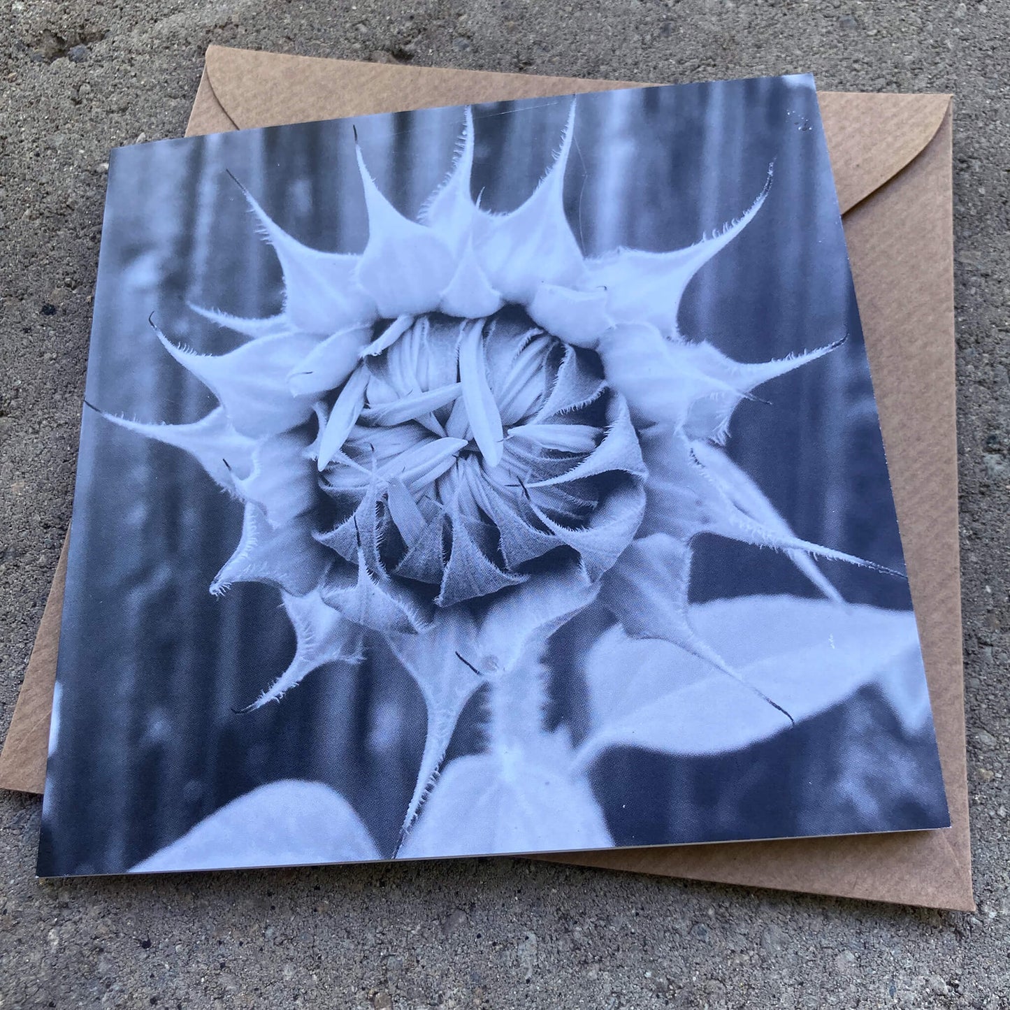 Greeting Cards Pack No. 18