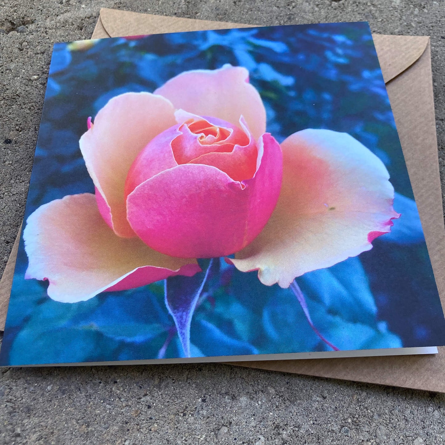 Greeting Cards Pack No. 15