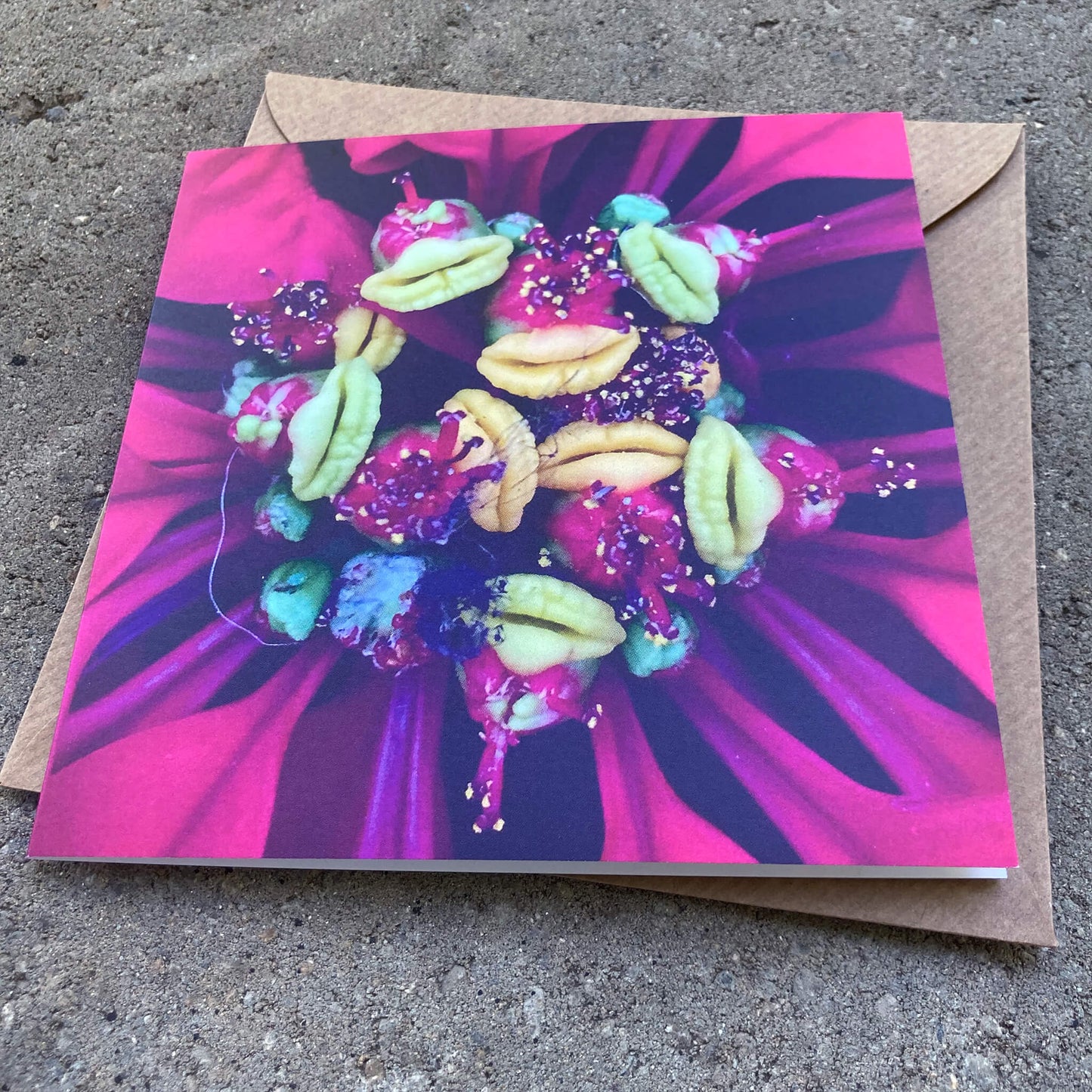 Greeting Cards Pack No. 15