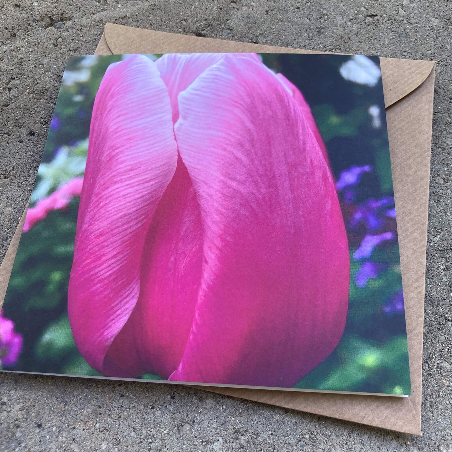 Greeting Cards Pack No. 12