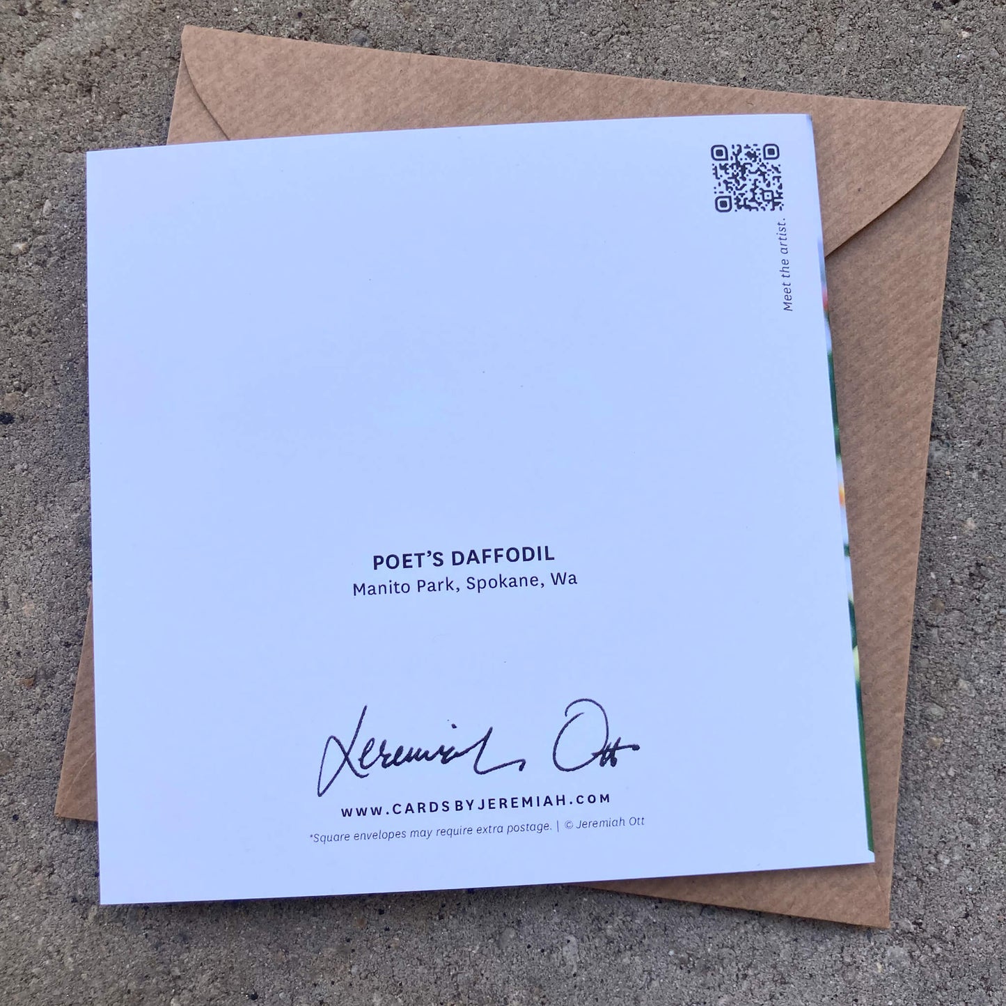 Greeting Cards Pack No. 7