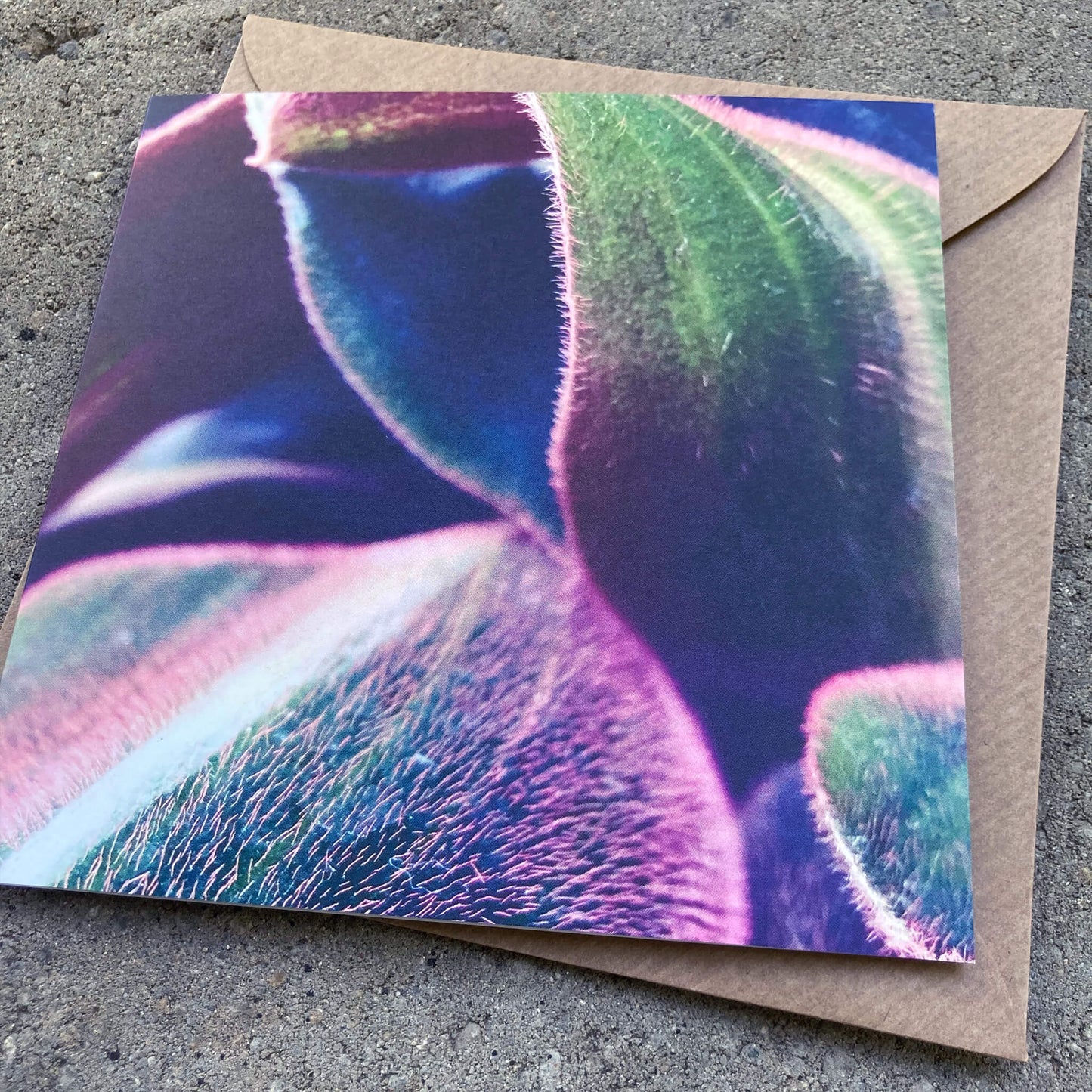 Greeting Cards Pack No. 2