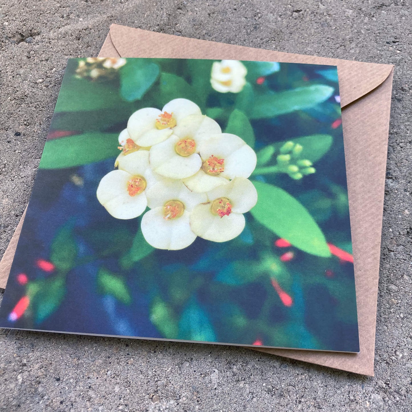 Greeting Cards Pack No. 12