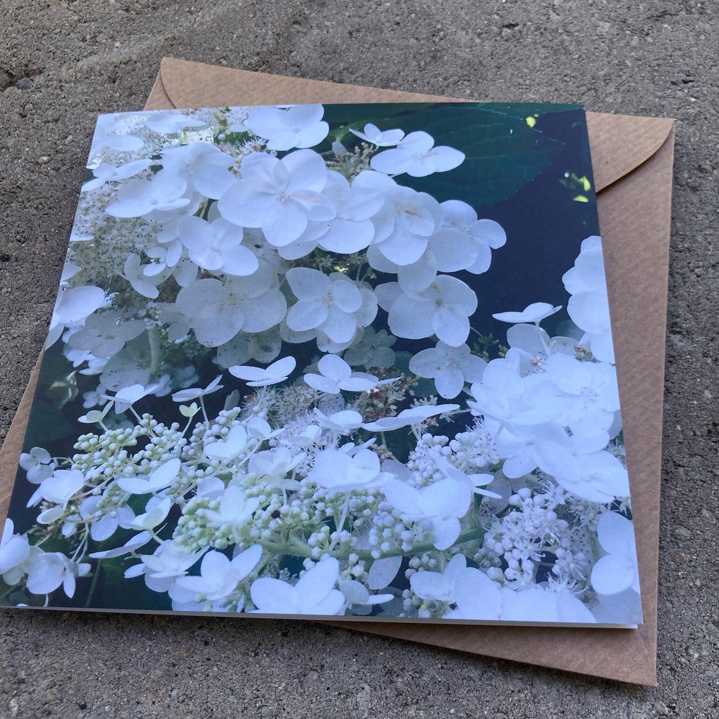 Greeting Cards Pack No. 4