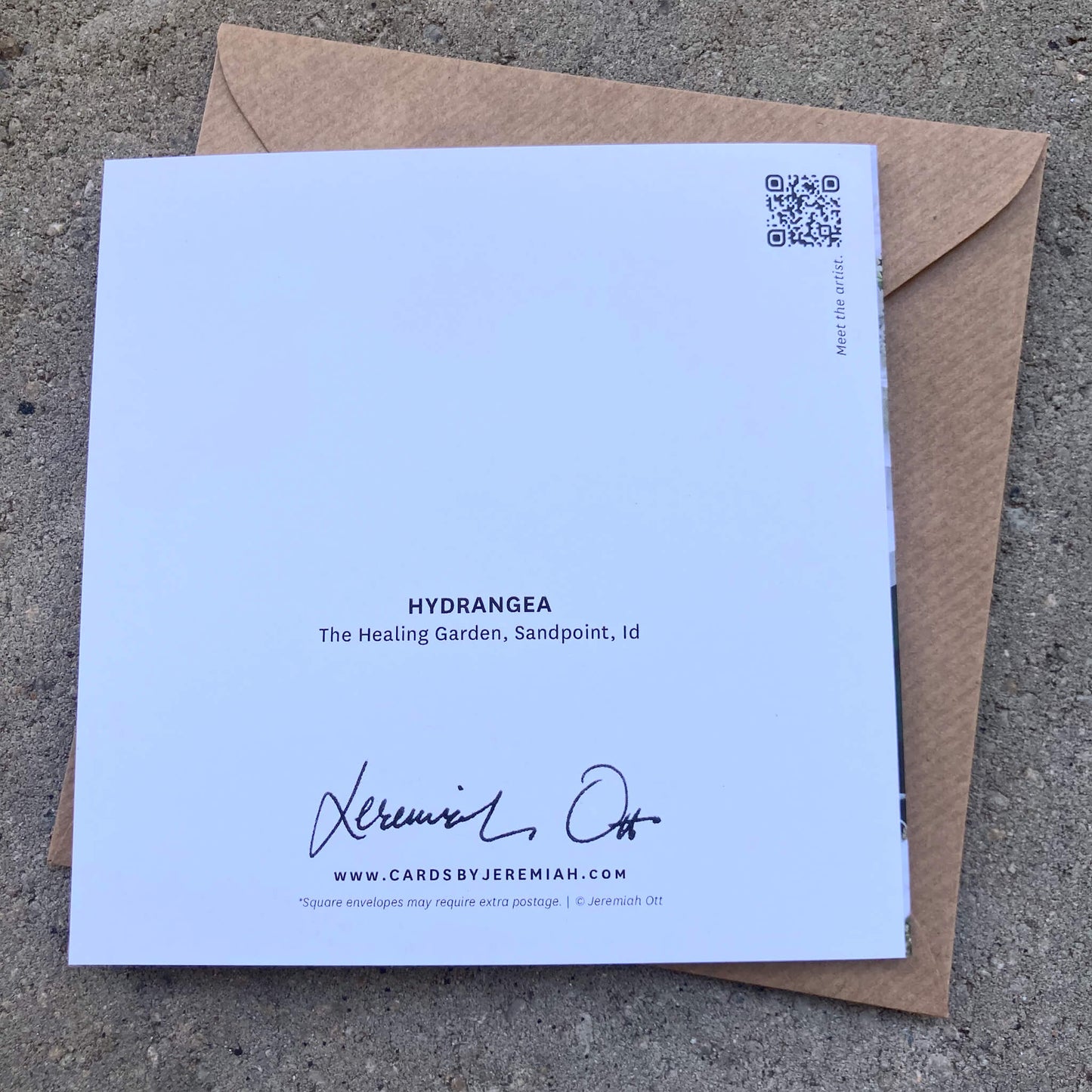 Greeting Cards Pack No. 4