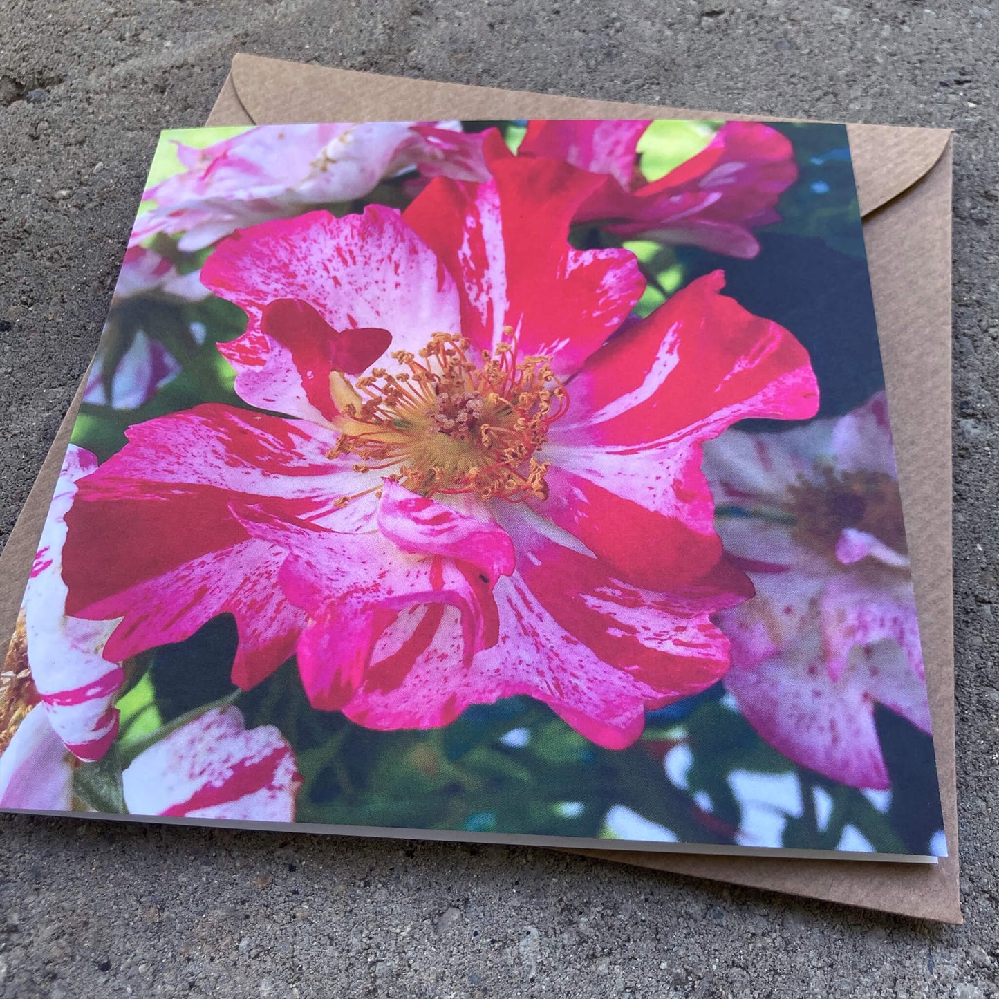 Greeting Cards Pack No. 8