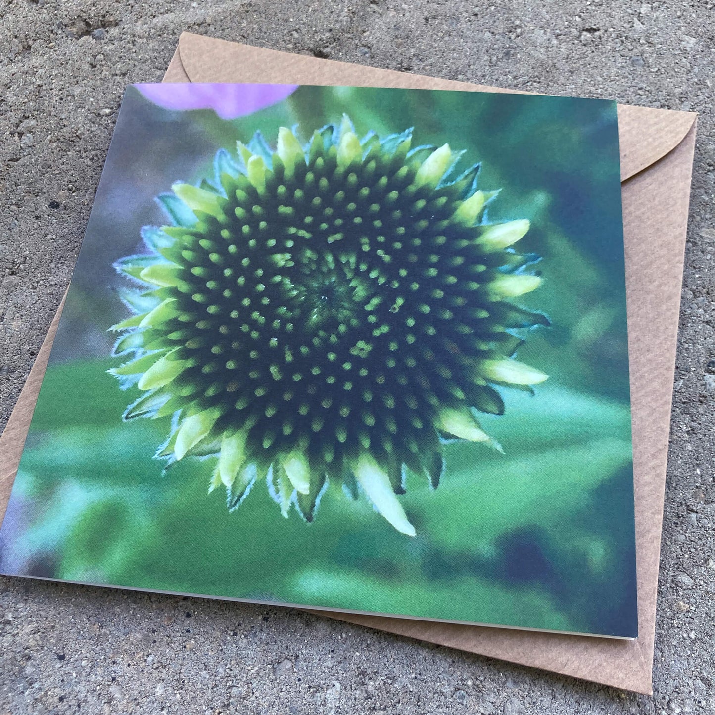 Greeting Cards Pack No. 2