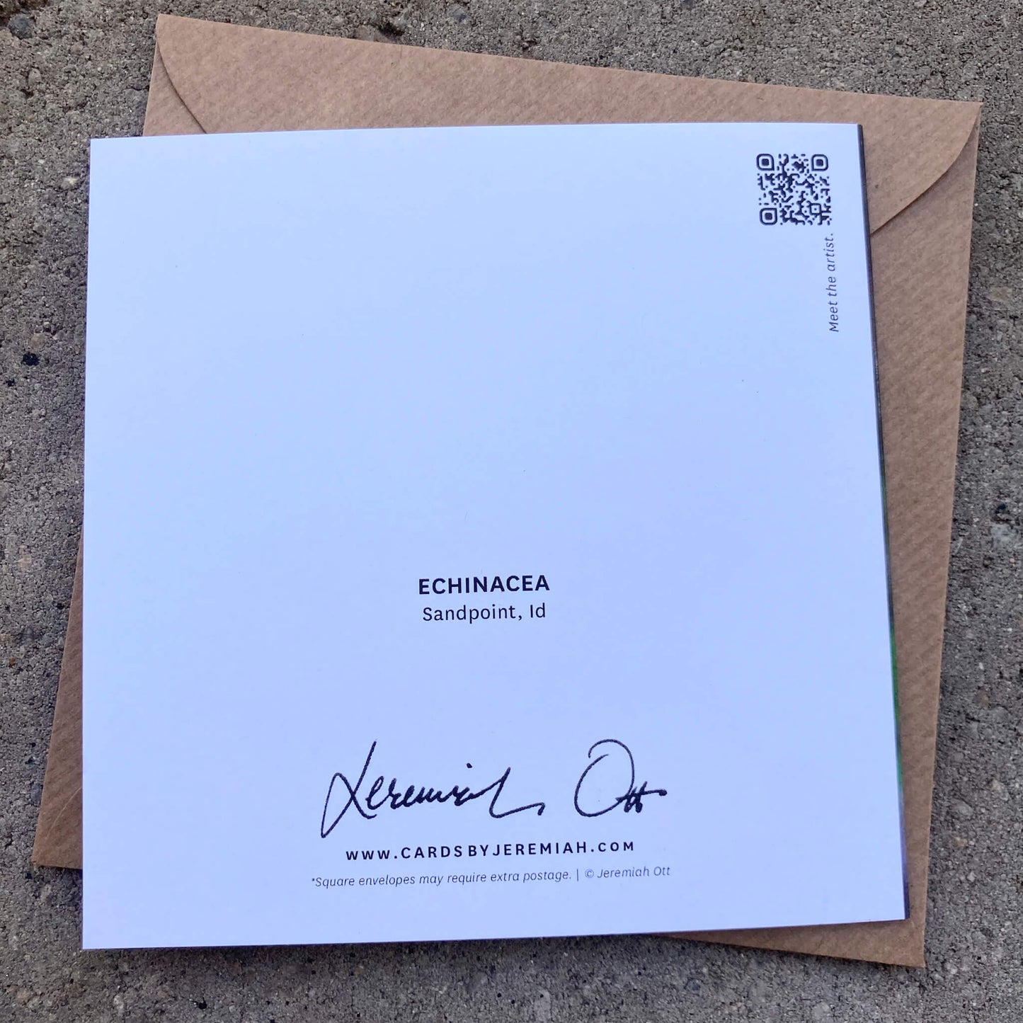 Greeting Cards Pack No. 2