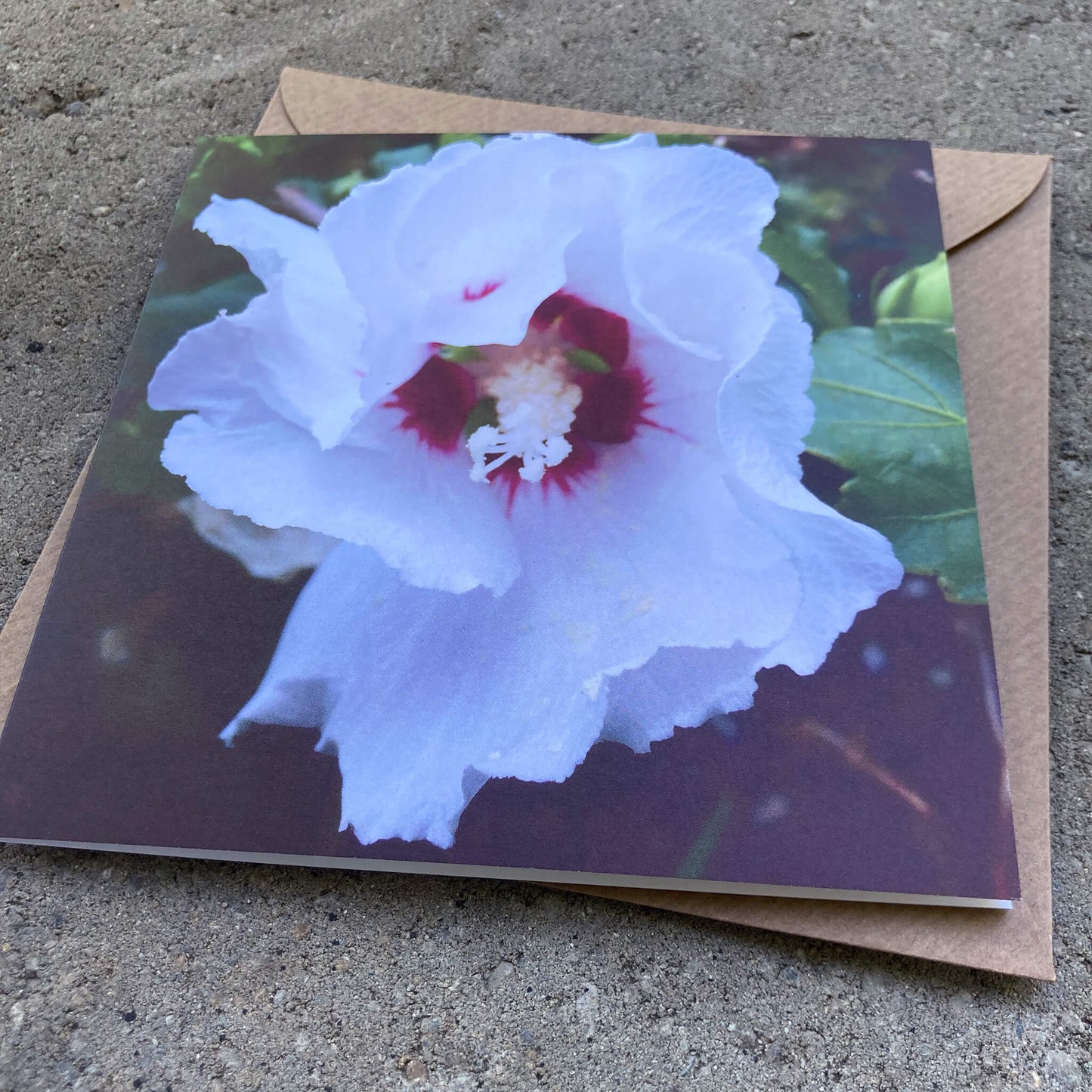 Greeting Cards Pack No. 11