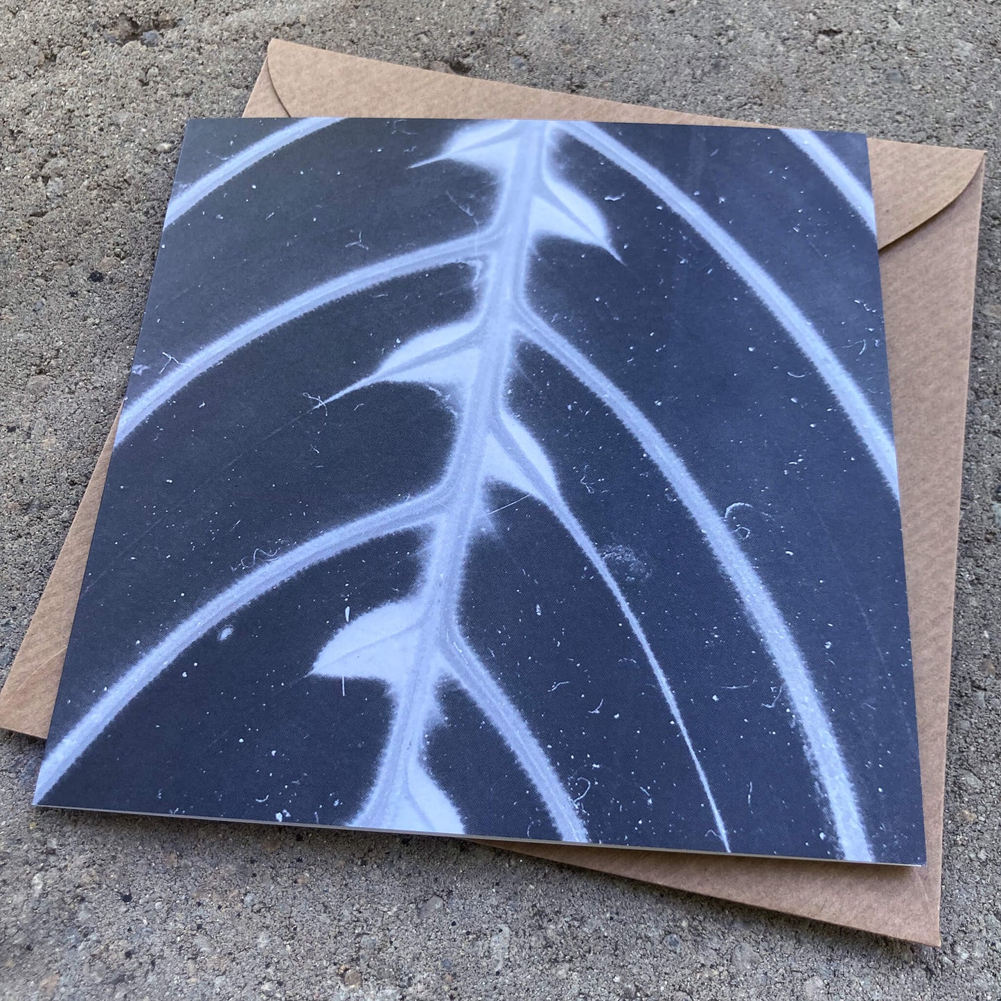 Greeting Cards Pack No. 18