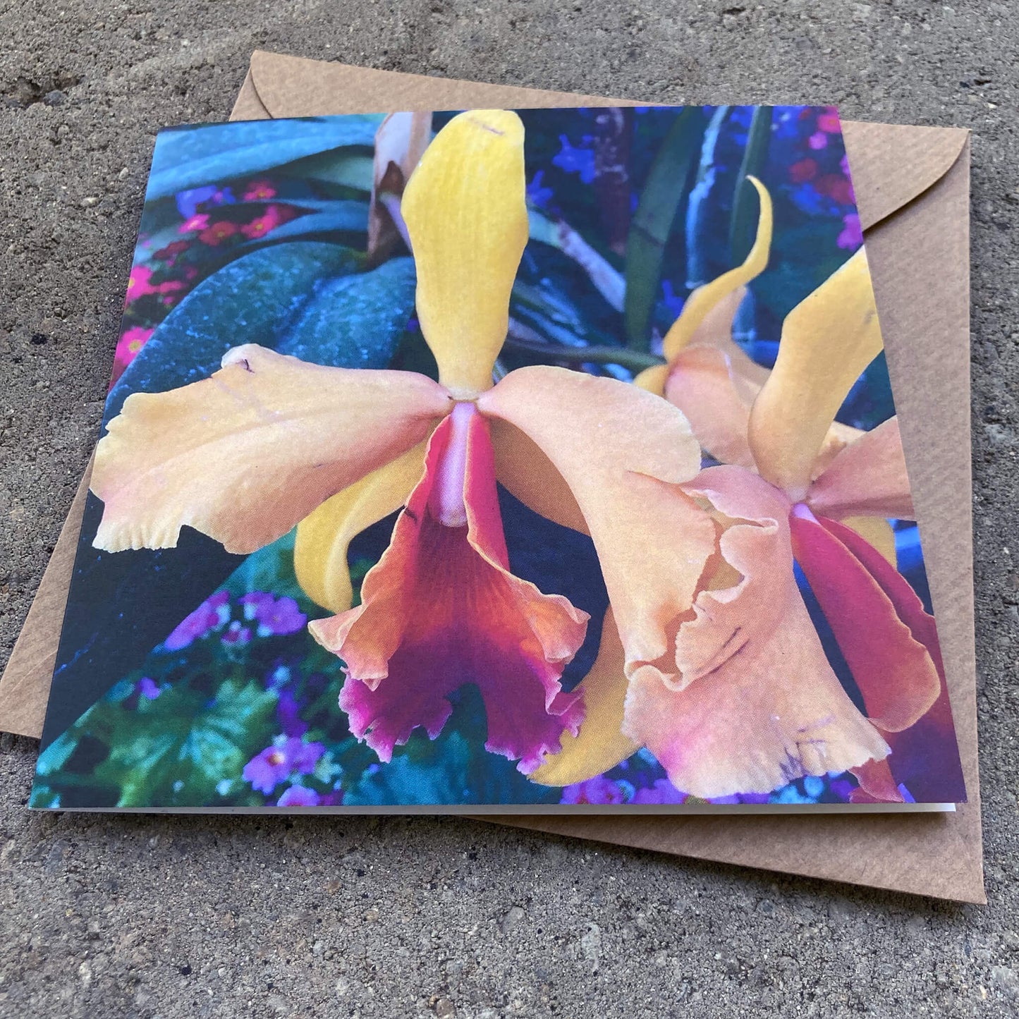 Greeting Cards Pack No. 15