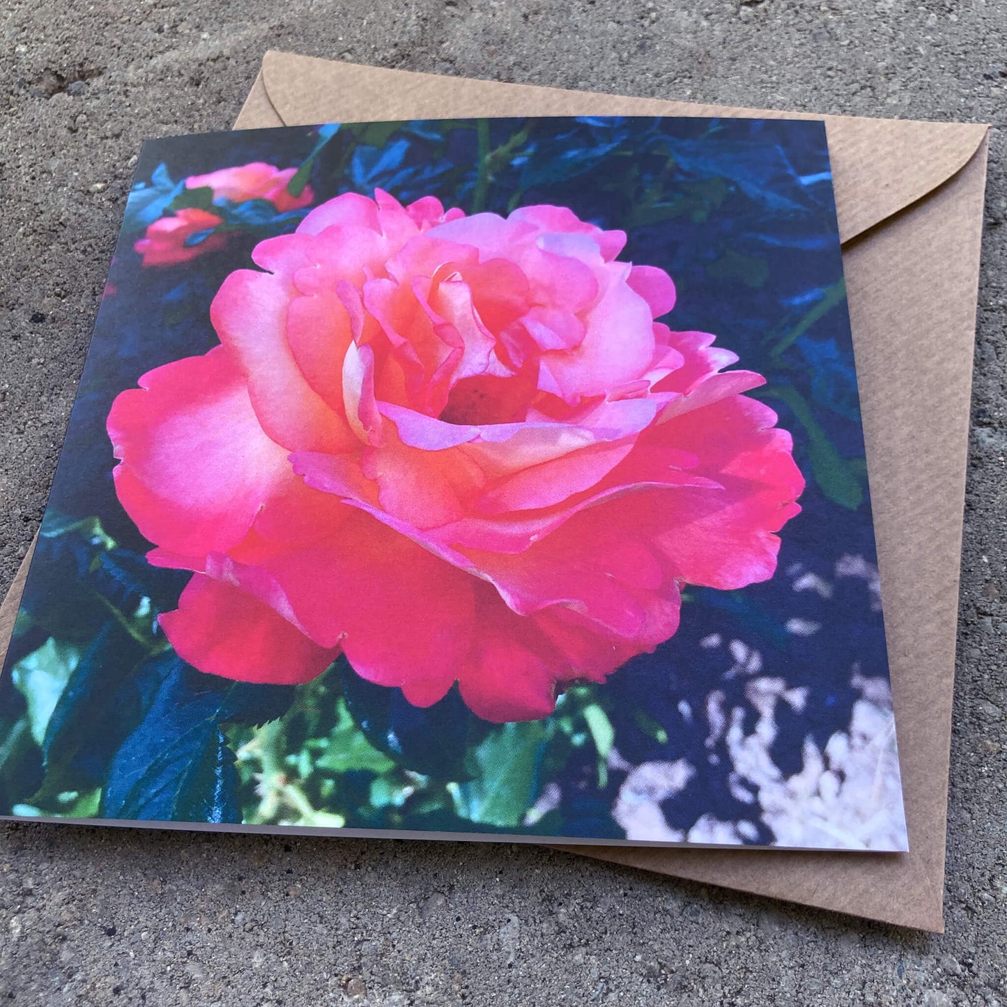 Greeting Cards Pack No. 15