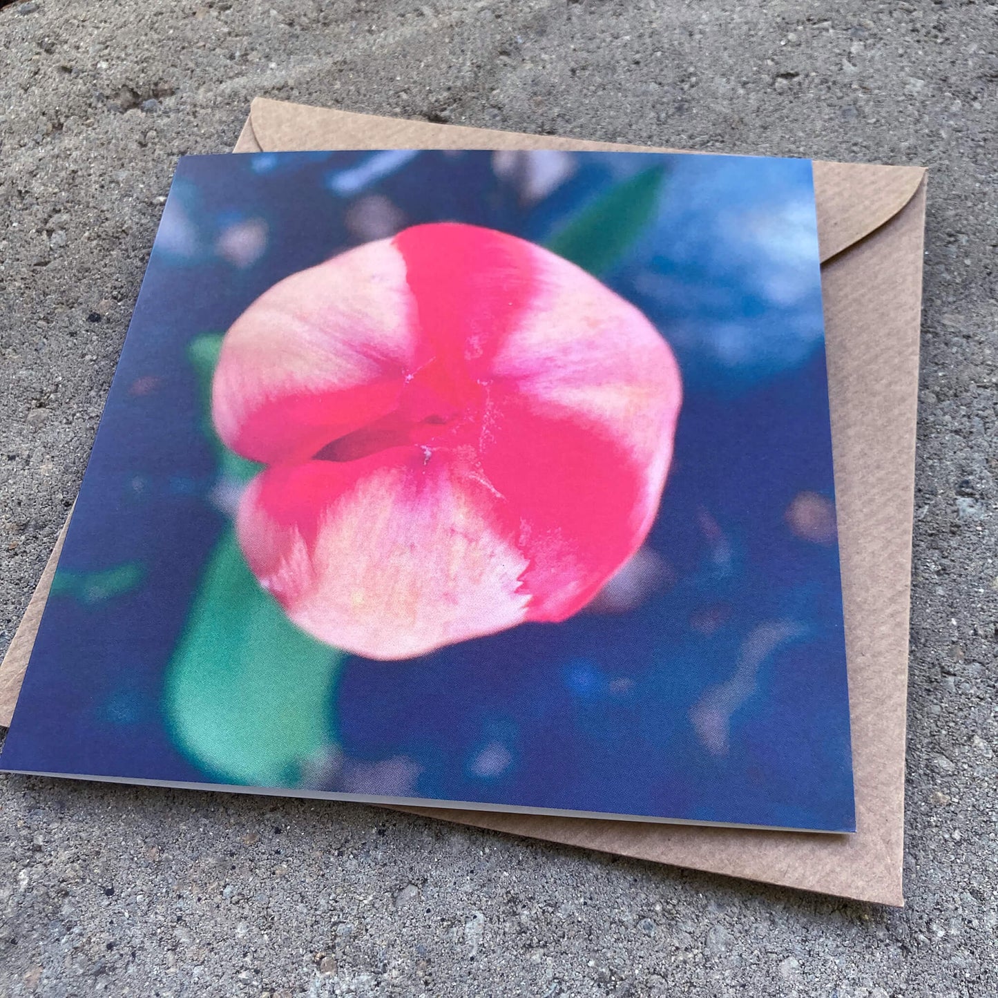 Greeting Cards Pack No. 15