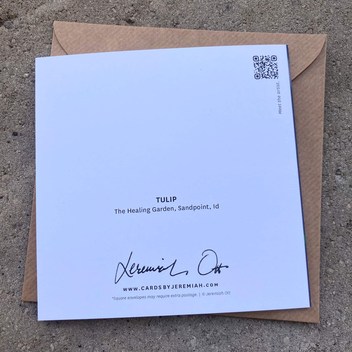 Greeting Cards Pack No. 15