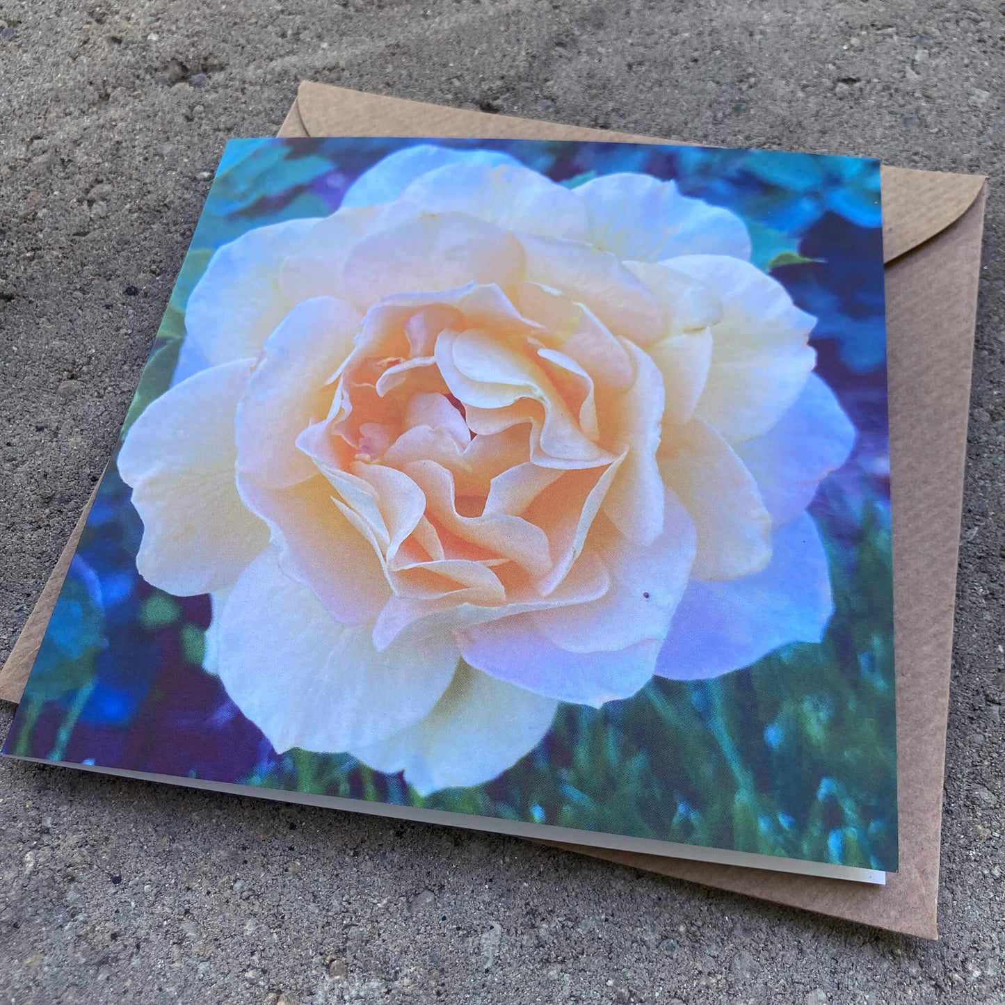 Greeting Cards Pack No. 5