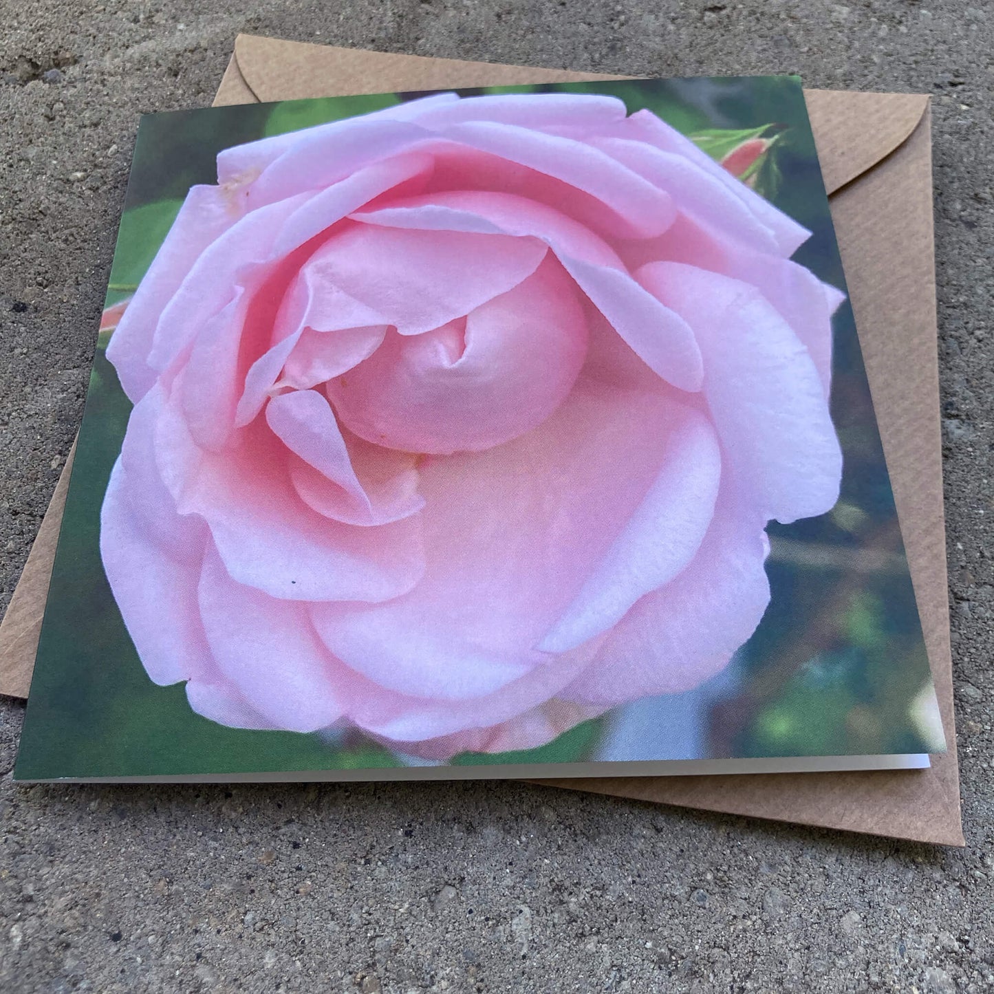 Greeting Cards Pack No. 11