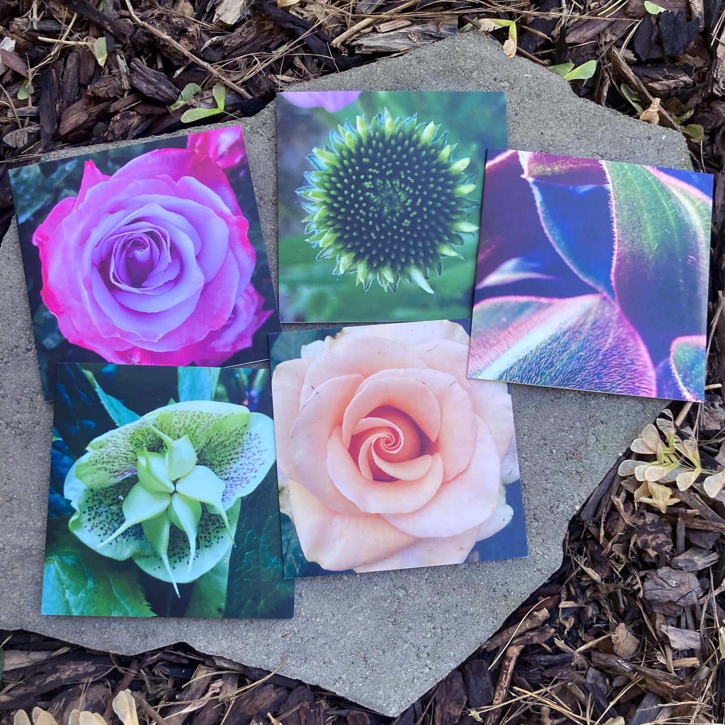 Greeting Cards Pack No. 2