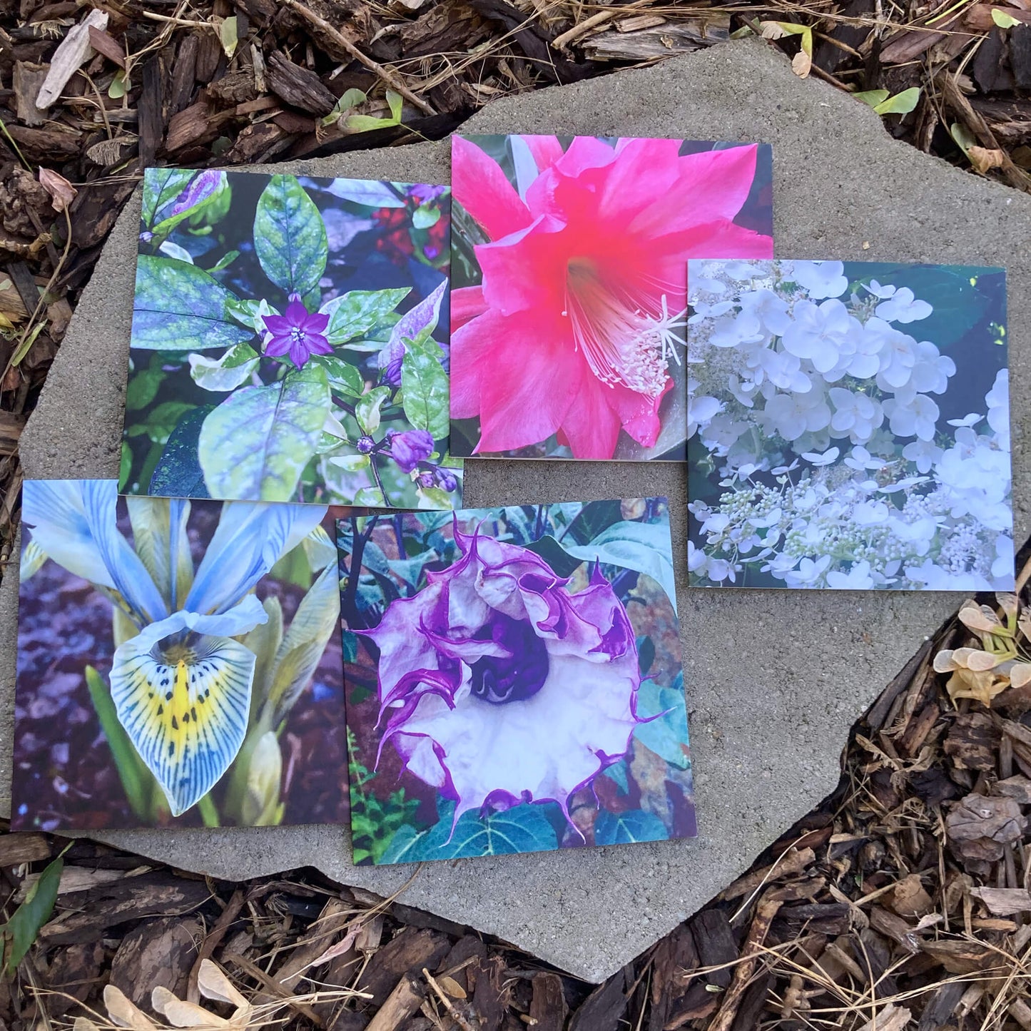 Greeting Cards Pack No. 4