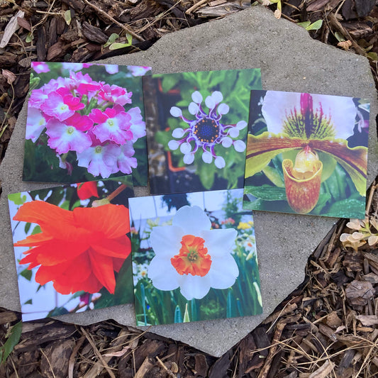 Greeting Cards Pack No. 7