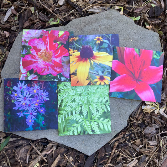 Greeting Cards Pack No. 8