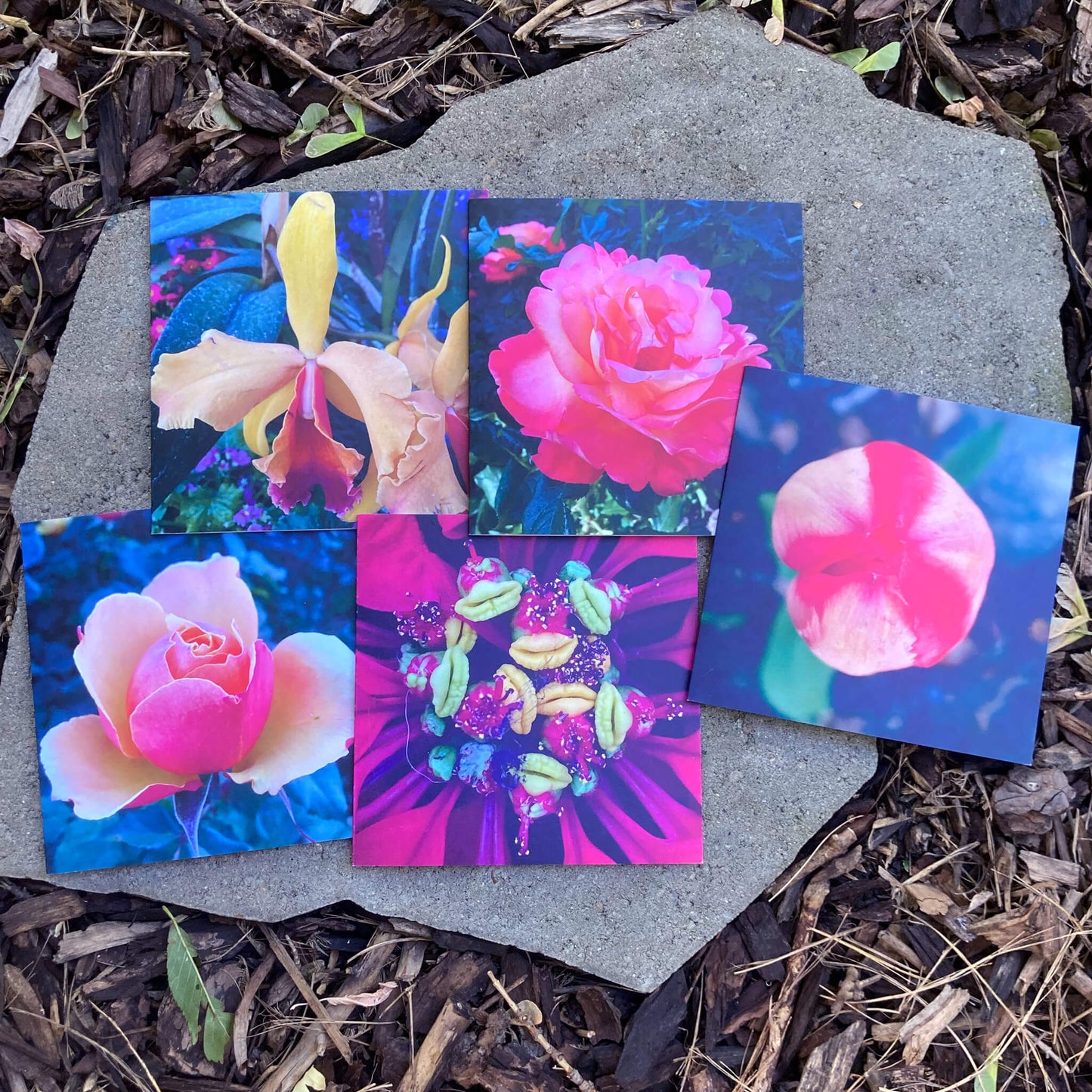 Greeting Cards Pack No. 15