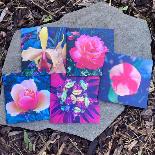 Greeting Cards Pack No. 15