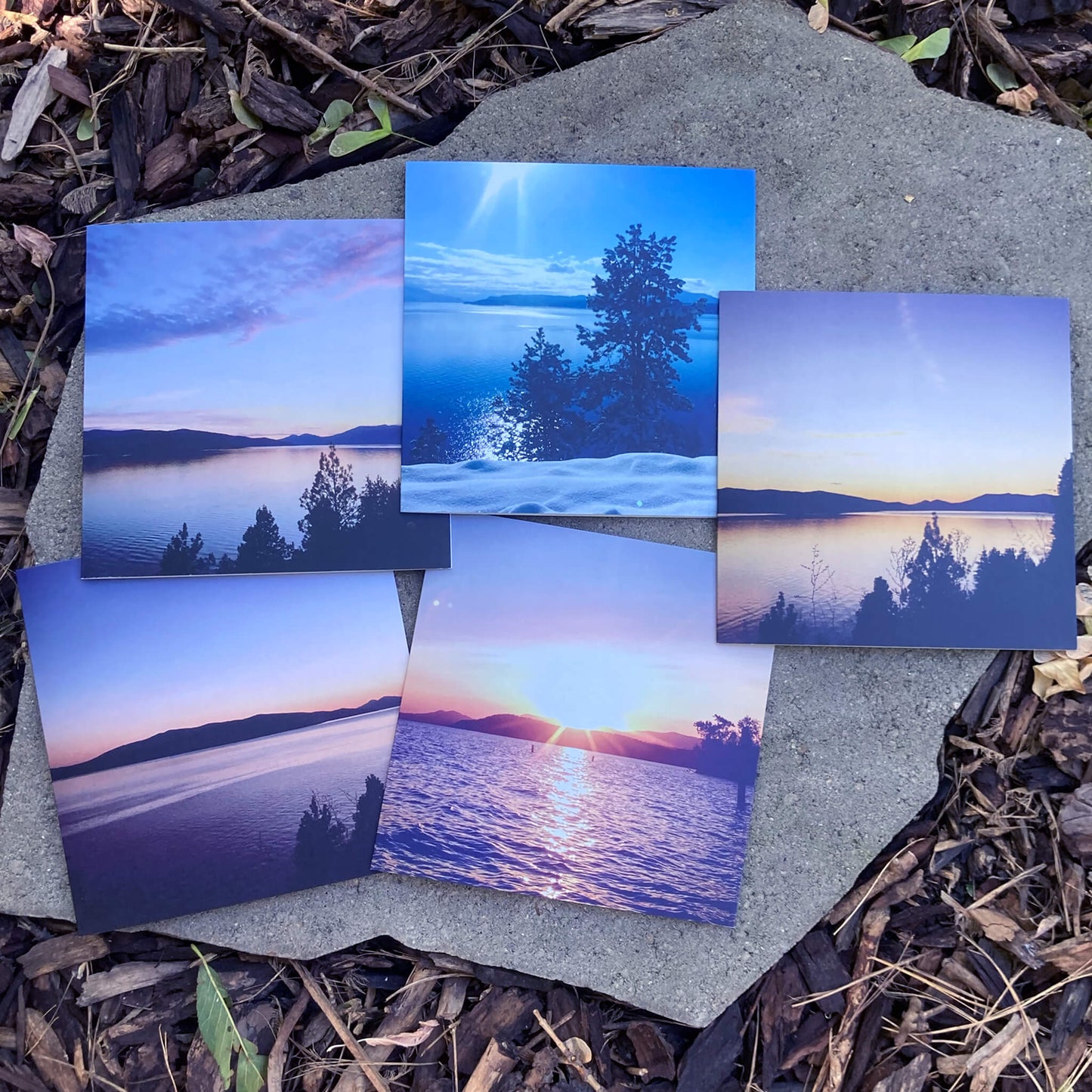 Greeting Cards Pack No. 16