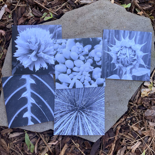 Greeting Cards Pack No. 18